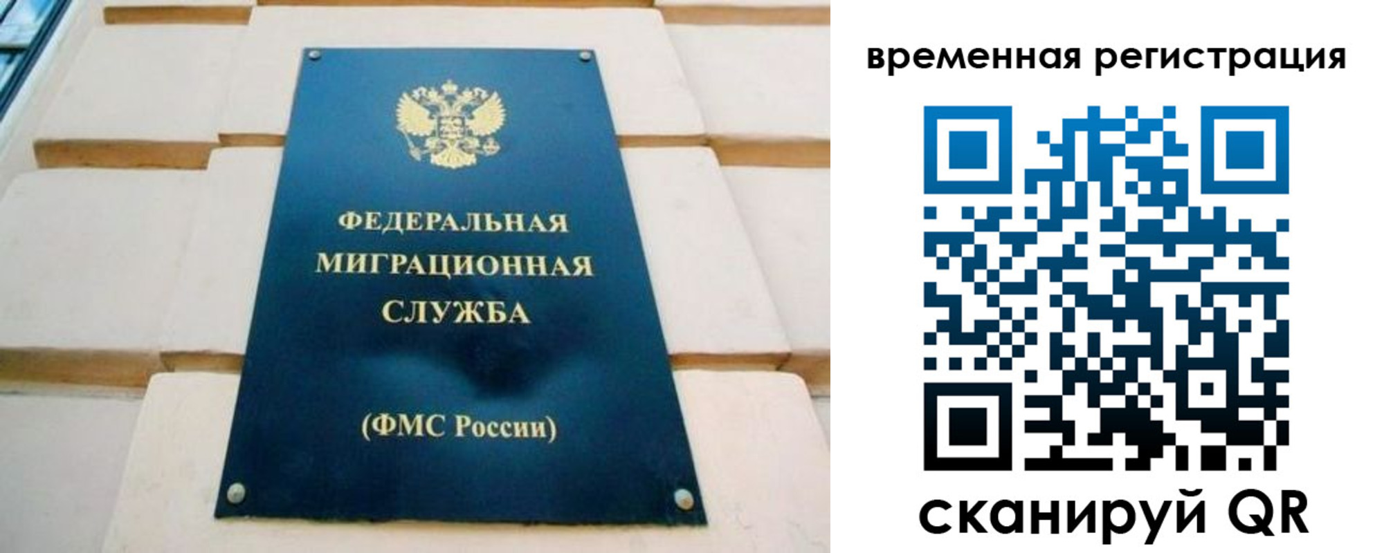 прописка гарантия в Поворино